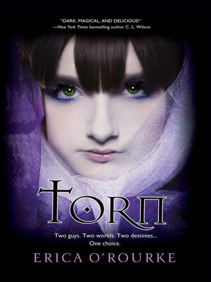 cover image of Torn